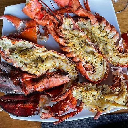 Toka Restaurant فندق Udenisht